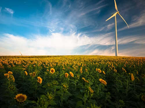 Wind power generation