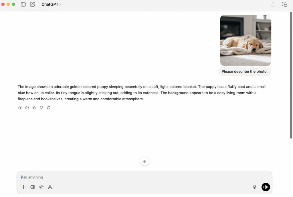ChatGPT is analyzing the uploaded picture and respond contextually.
