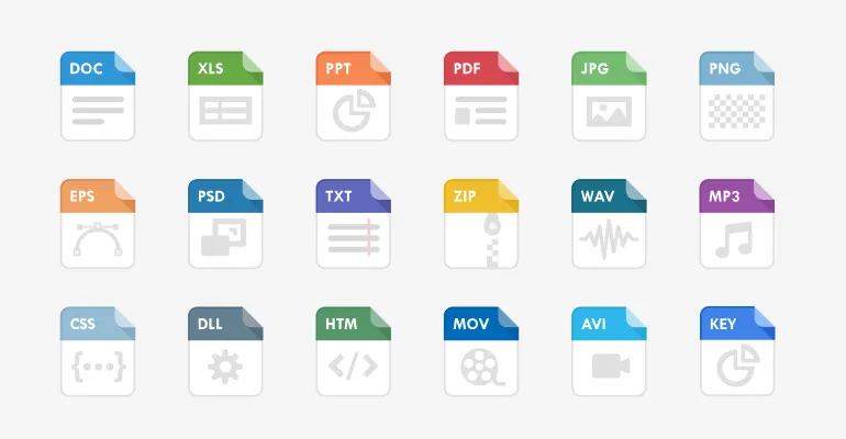 Multi-Format Support